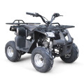 EPA 110CC ATV QUAD-BIKE